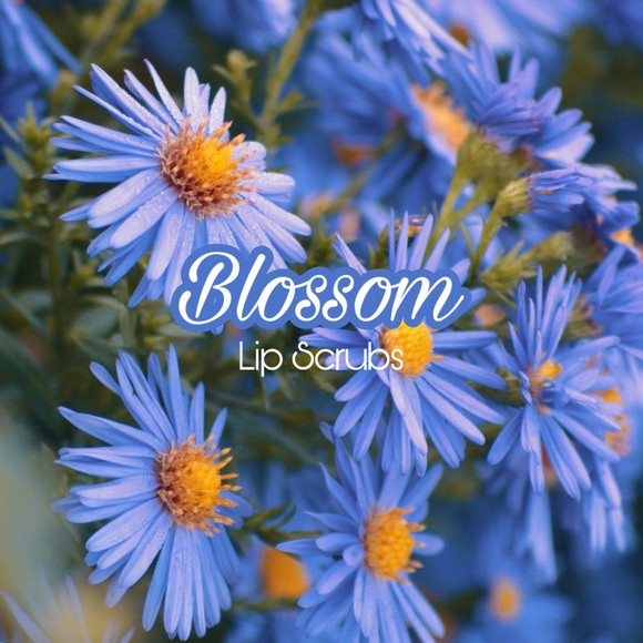 Meet your Posher, Blossom - Picture 1 of 1